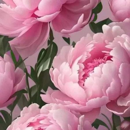 Апартаменты La Peonia Виторкьяно Экстерьер фото