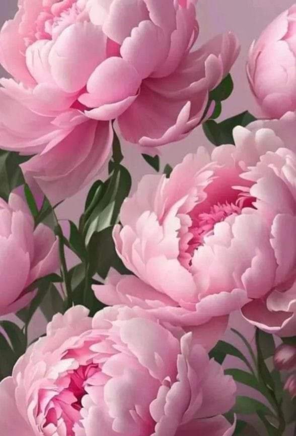 Апартаменты La Peonia Виторкьяно Экстерьер фото